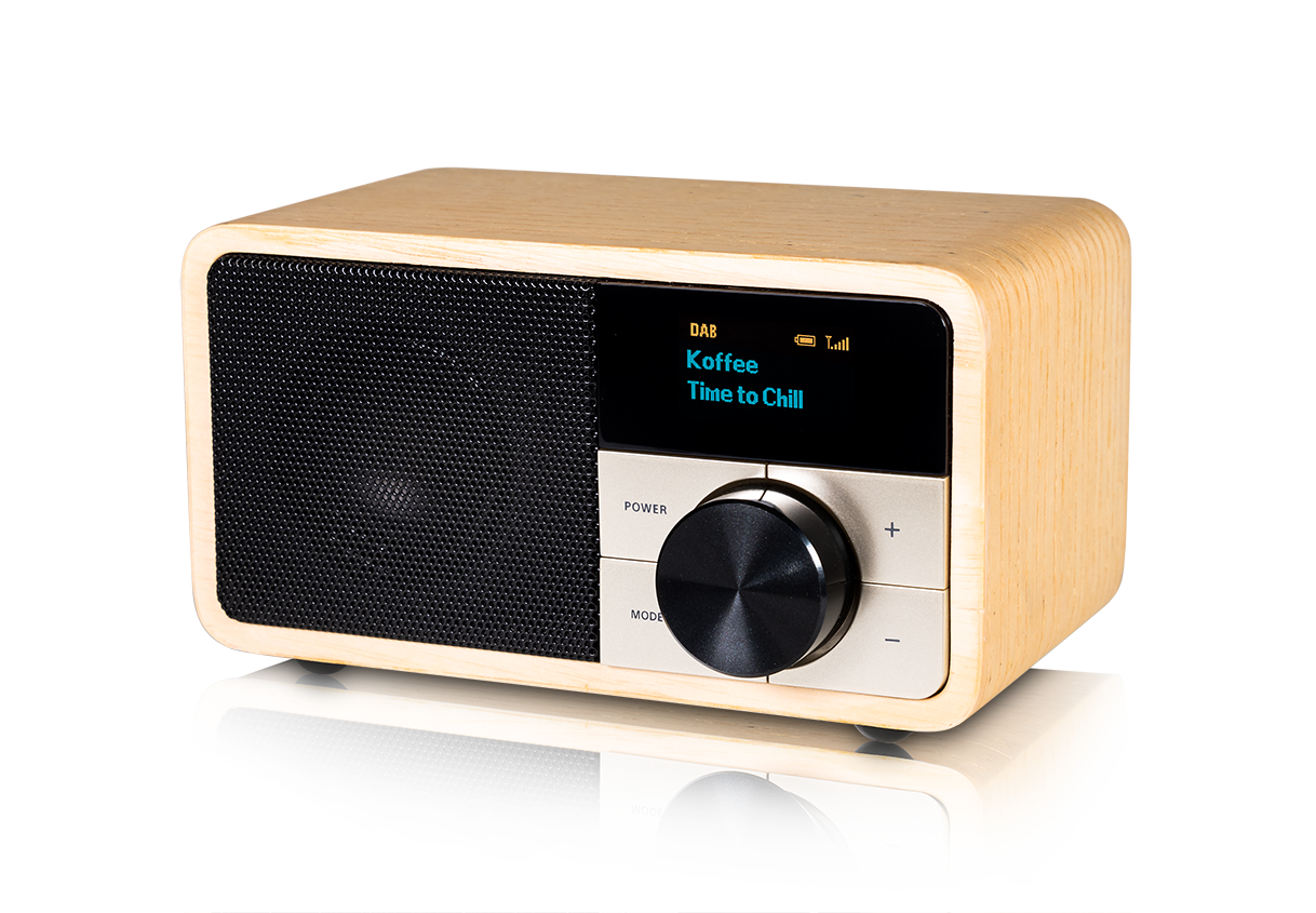 Kathrein DAB+ 1 mini Holz hell